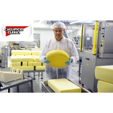 Коагуляція молока за допомогою ферментів Компанії "CLERICI" Коагуляція молока за допомогою ферментів Компанії "CLERICI"